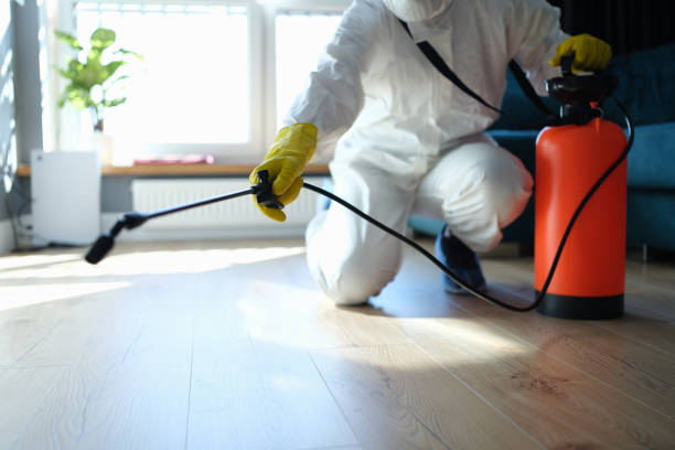 Reliable Biohazard contractor in National Park, NJ by Trauma Clean Pros